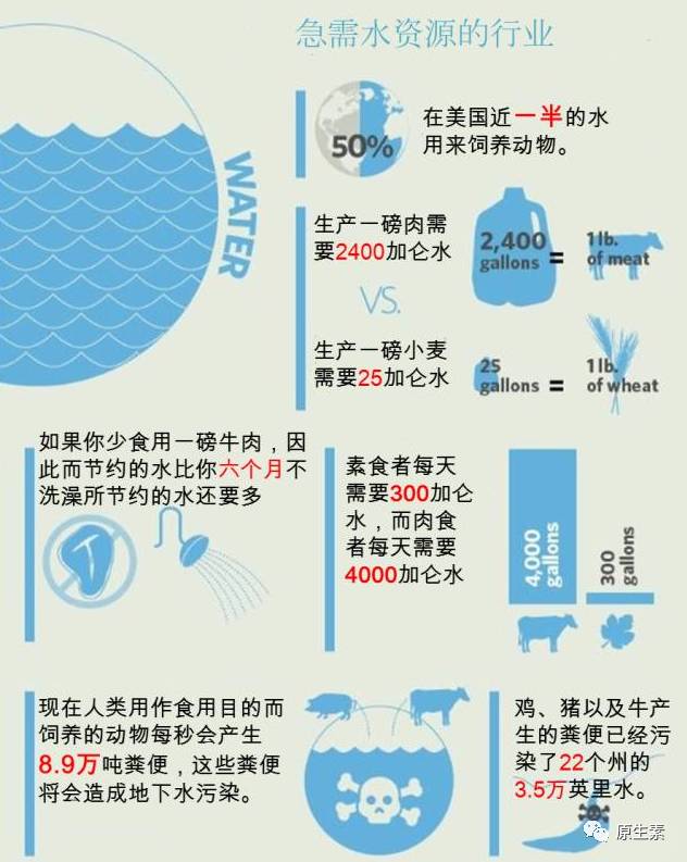 全球60亿人口_世界60亿人口日简介,世界60亿人口日是哪一天,世界60亿人口日是几(2)