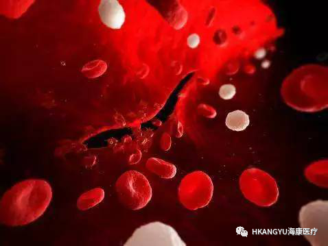 为什么采用4个血凝单位为什么手术前一定要测凝血_https://www.jmylbn.com_新闻资讯_第5张