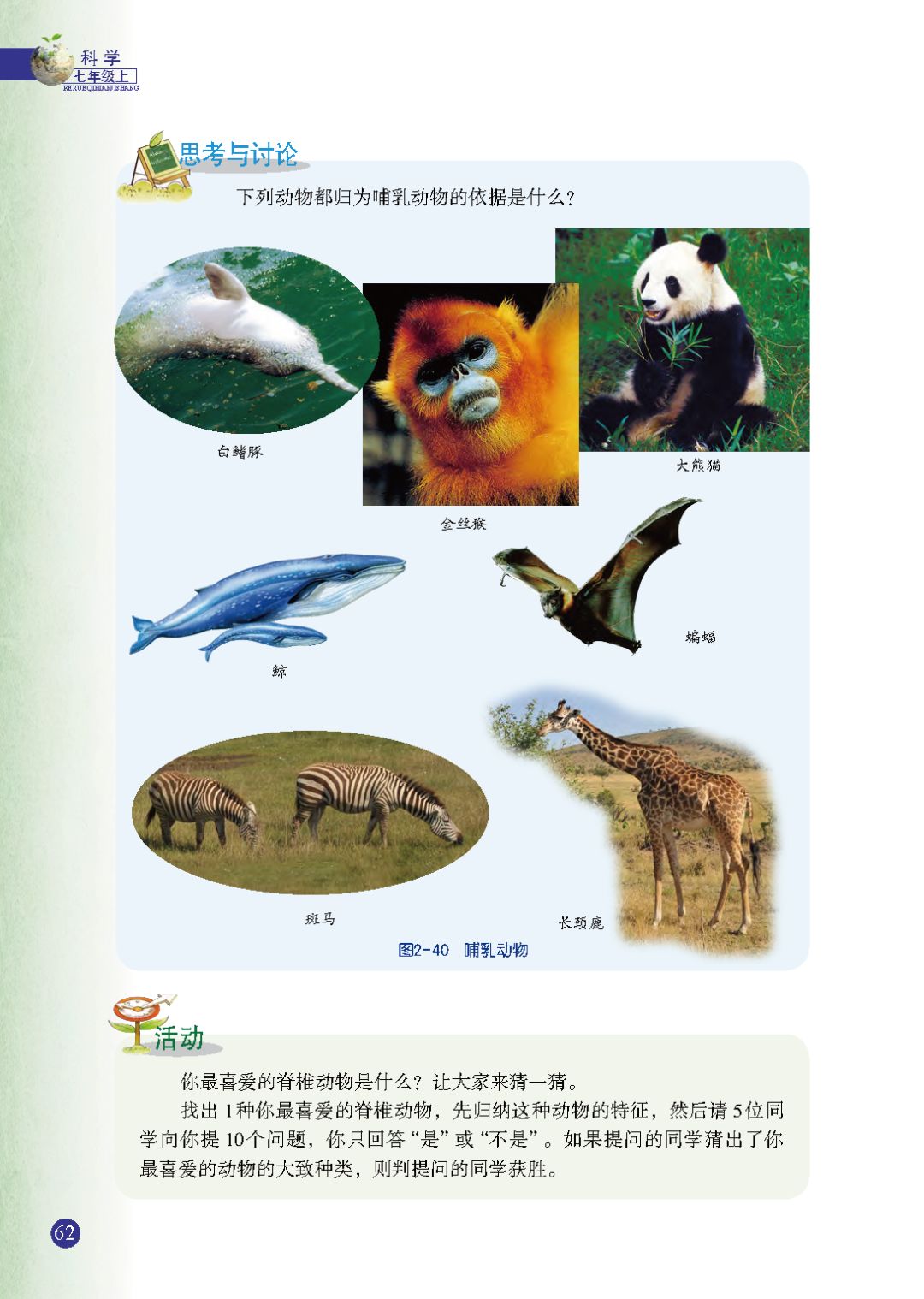 常见的脊椎动物 Page62 浙教版七年级科学上册电子课本 教材 教科书 好多电子课本网