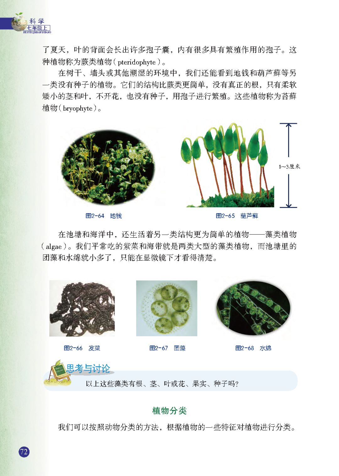 植物分类 Page72 浙教版七年级科学上册电子课本 教材 教科书 好多电子课本网