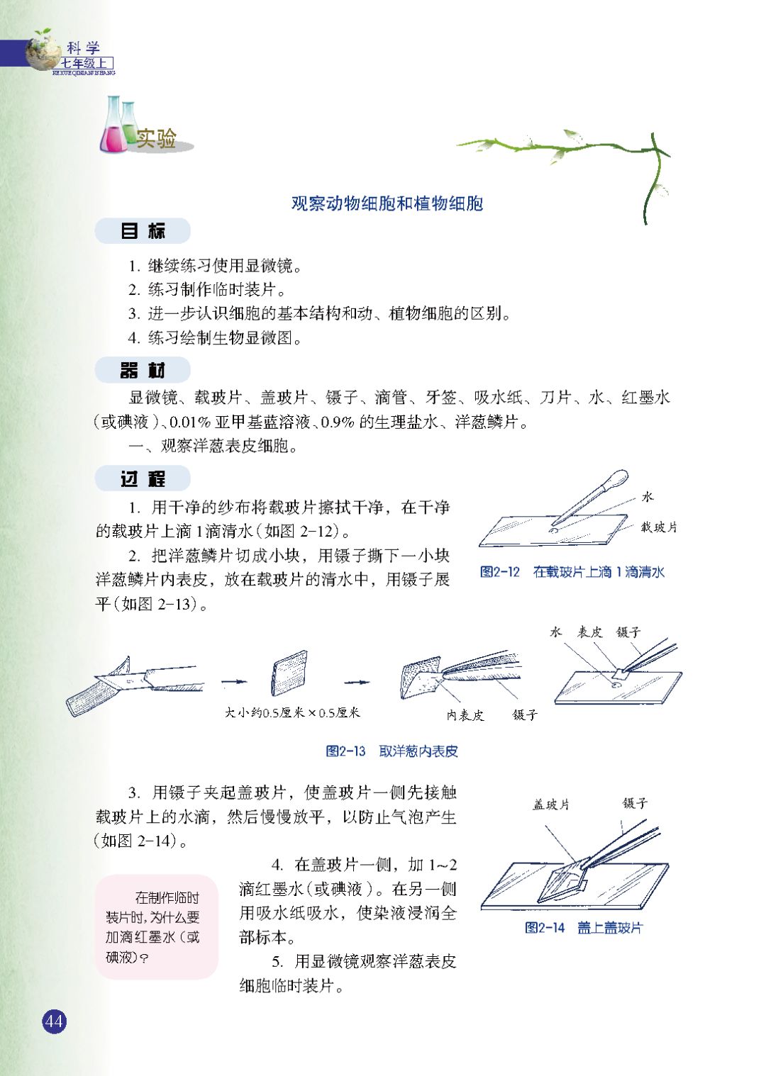 观察动物细胞和植物细胞 Page44 浙教版七年级科学上册电子课本 教材 教科书 好多电子课本网