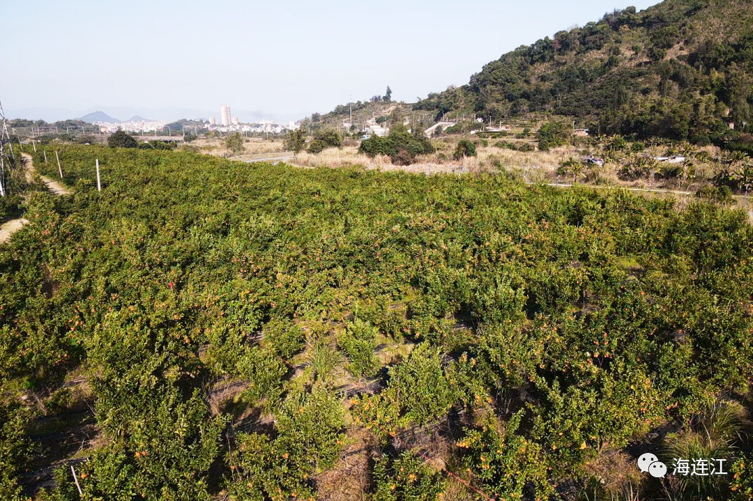 30.79公里！连江这条铁路有了新进展！