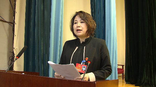 临江市九届人大六次会议召开第二次大会