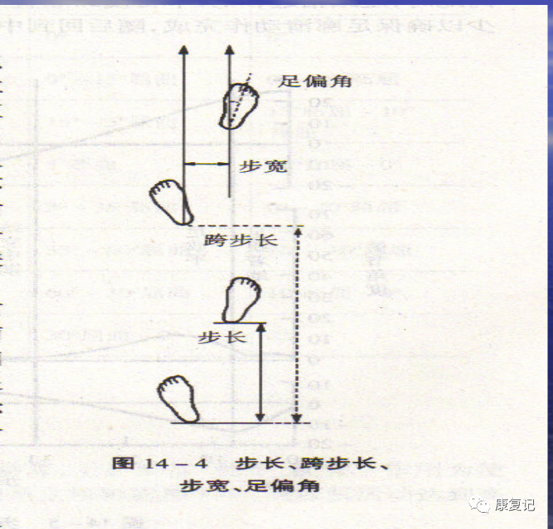 步态分析上曲线怎么解读康复知识点总结第47期——步态分析_https://www.jmylbn.com_新闻资讯_第1张