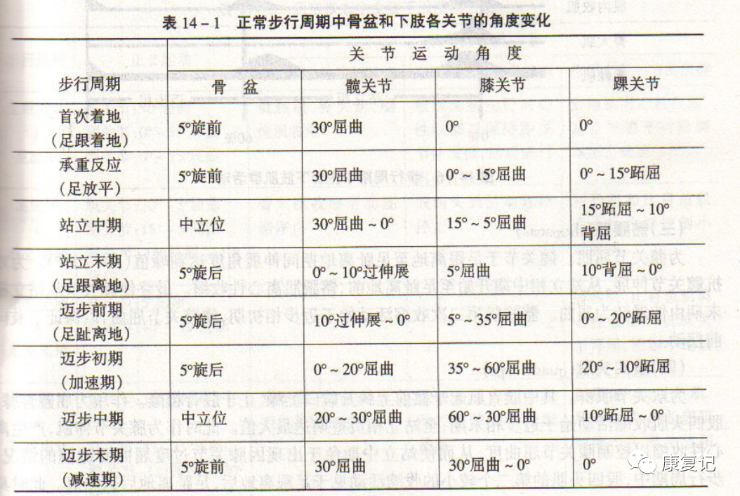 步态分析上曲线怎么解读康复知识点总结第47期——步态分析_https://www.jmylbn.com_新闻资讯_第3张