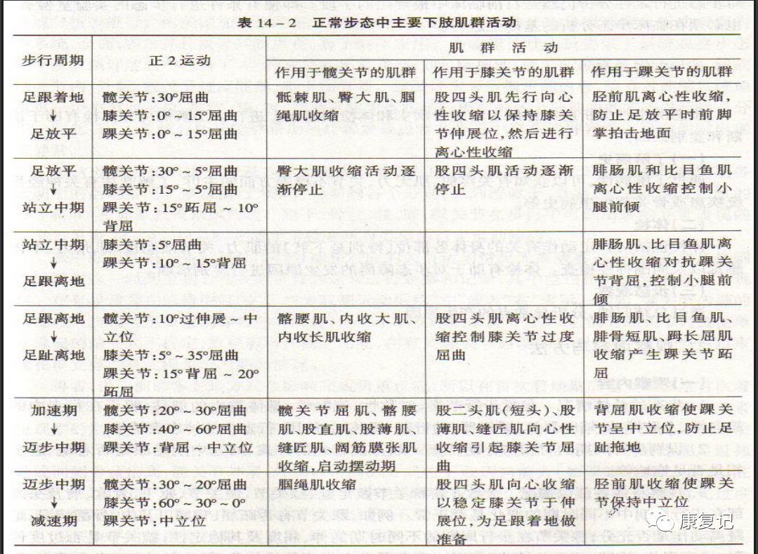 步态分析上曲线怎么解读康复知识点总结第47期——步态分析_https://www.jmylbn.com_新闻资讯_第4张