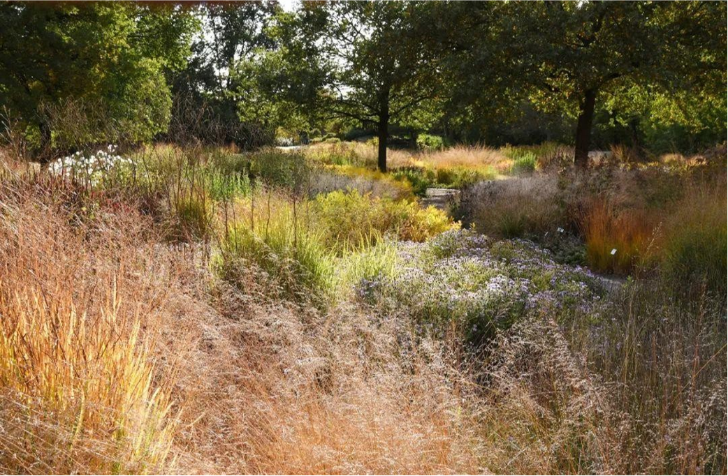 感受荒野之美自然主义花园赏析