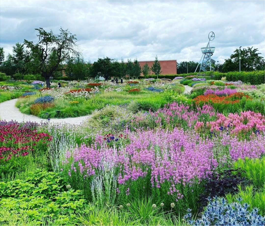 感受荒野之美自然主义花园赏析