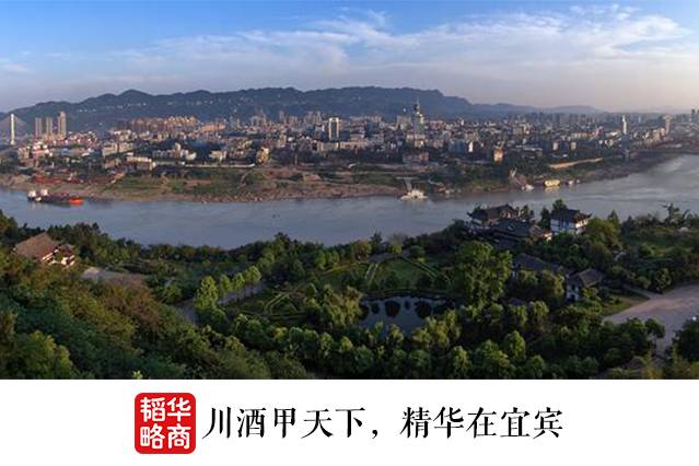 五粮液变浑浊:十年输给茅台3800亿 送礼都未必拿得出手|五粮液|唐桥