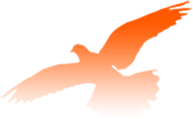 山东力明科技职业学院