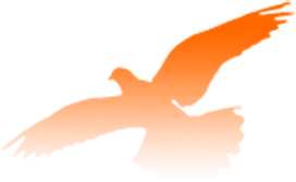 山东力明科技职业学院