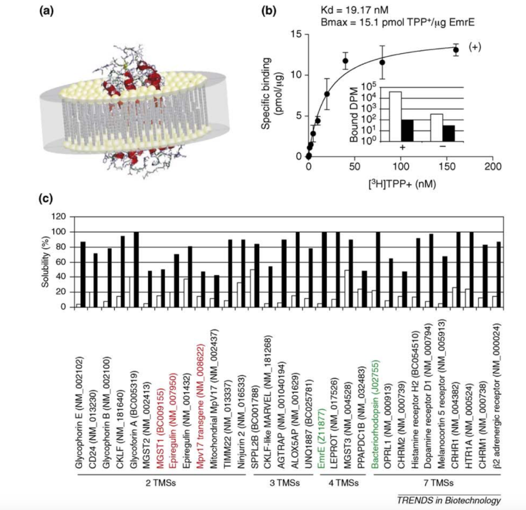 頂刊力薦！無細胞體系下的膜蛋白合成新突破