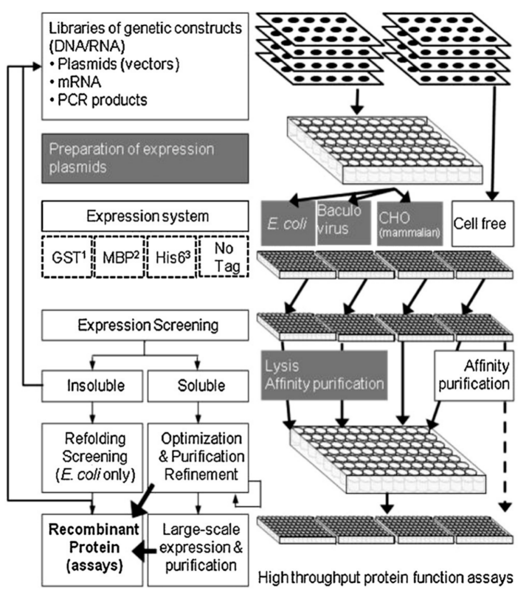 酶制剂“黑科技