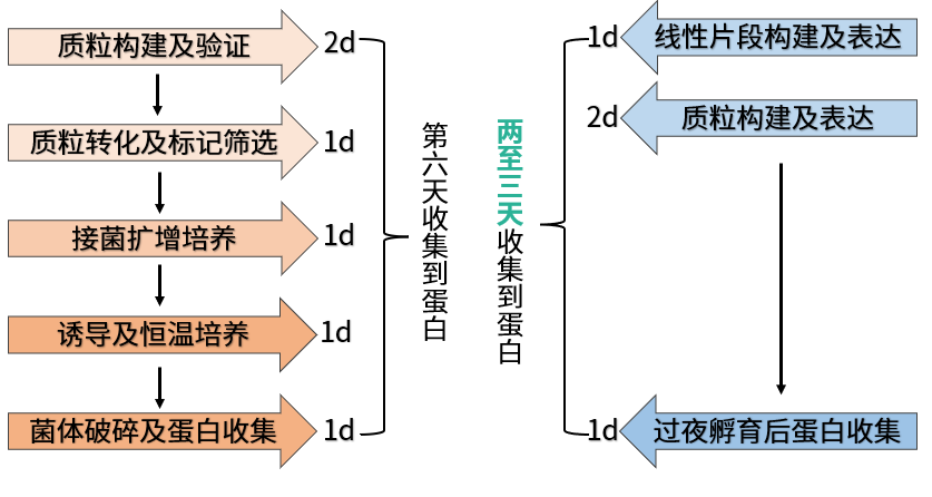 無細胞蛋白表達真的比有細胞蛋白表達貴嗎？
