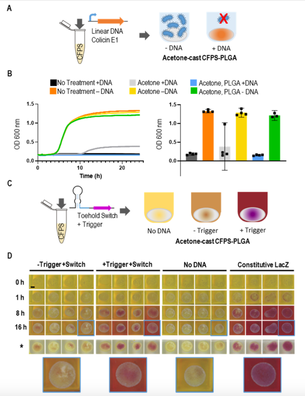 神奇！無(wú)細(xì)胞蛋白合成如何在塑料中喚醒生物功能？