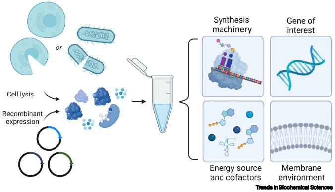 重磅！珀羅汀生物推出商業(yè)化高通量全長膜蛋白表達(dá)自動化解決方案
