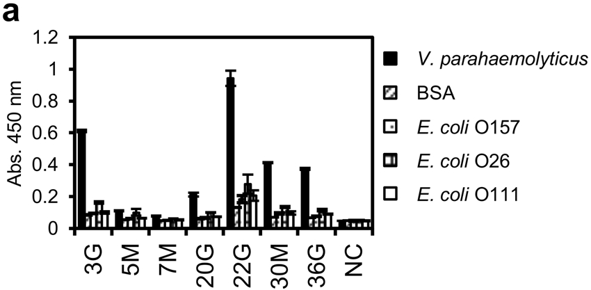 抗体快速发现—基于CFPS的高通量抗体筛选方案