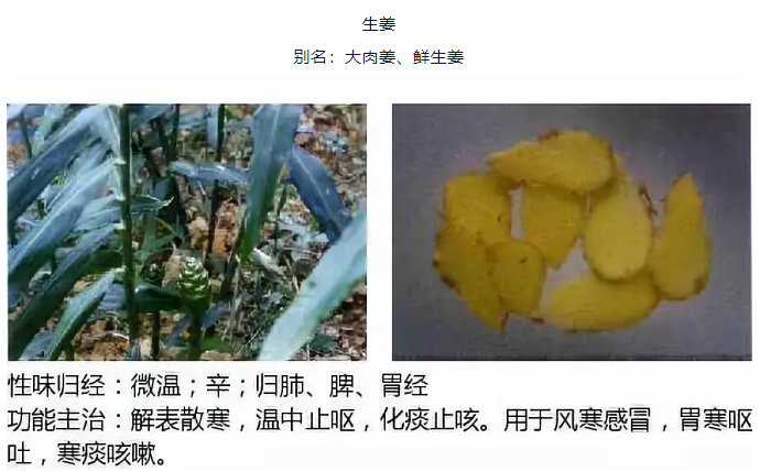 医院推车叫什么【晋南•采购公告】晋江市医院晋南分院关于移动护理推车项目采购公告_https://www.jmylbn.com_新闻资讯_第9张