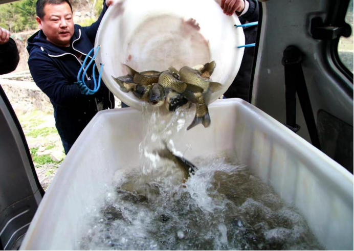 中央7套农业致富经_中央农业致富经视频_中央7农业致富节目