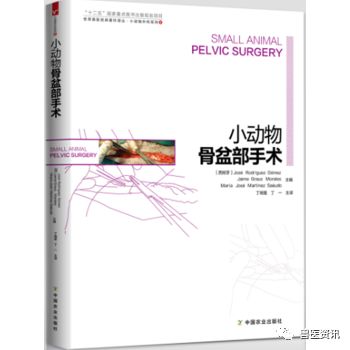 动物拍片腹部怎么摆经典兽医用书推荐（小动物篇），绝对有你需要的......_https://www.jmylbn.com_新闻资讯_第25张