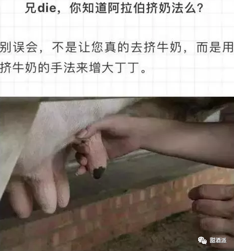 丁丁锻炼手册之阴茎增大练习
