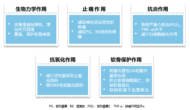 骨关节炎的治疗 多靶点 多获益才是制胜之道 风湿界 微信公众号文章 微小领