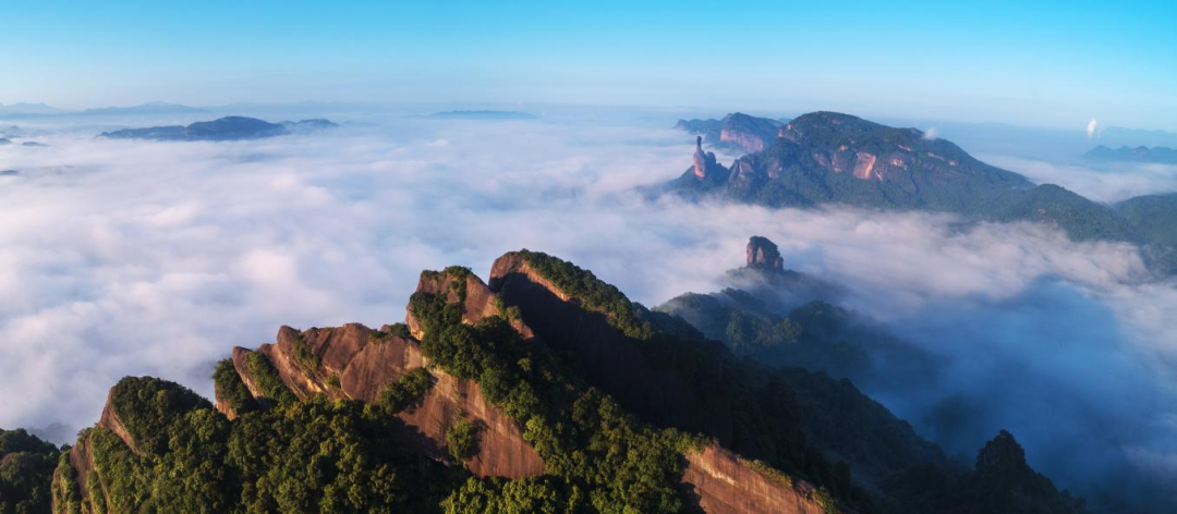 韶关市立足生态优势主动融入粤港澳大湾区加快打造绿色发展韶关样板