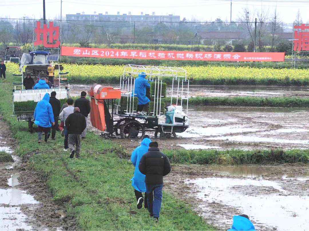 岳阳君山农场图片