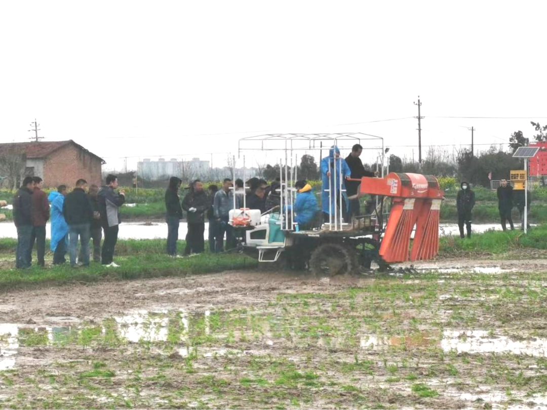 君山区举办早稻机插秧演示会助力农民增收