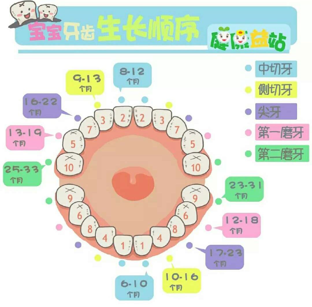 乳牙滯留影響恆牙萌出怎麼辦