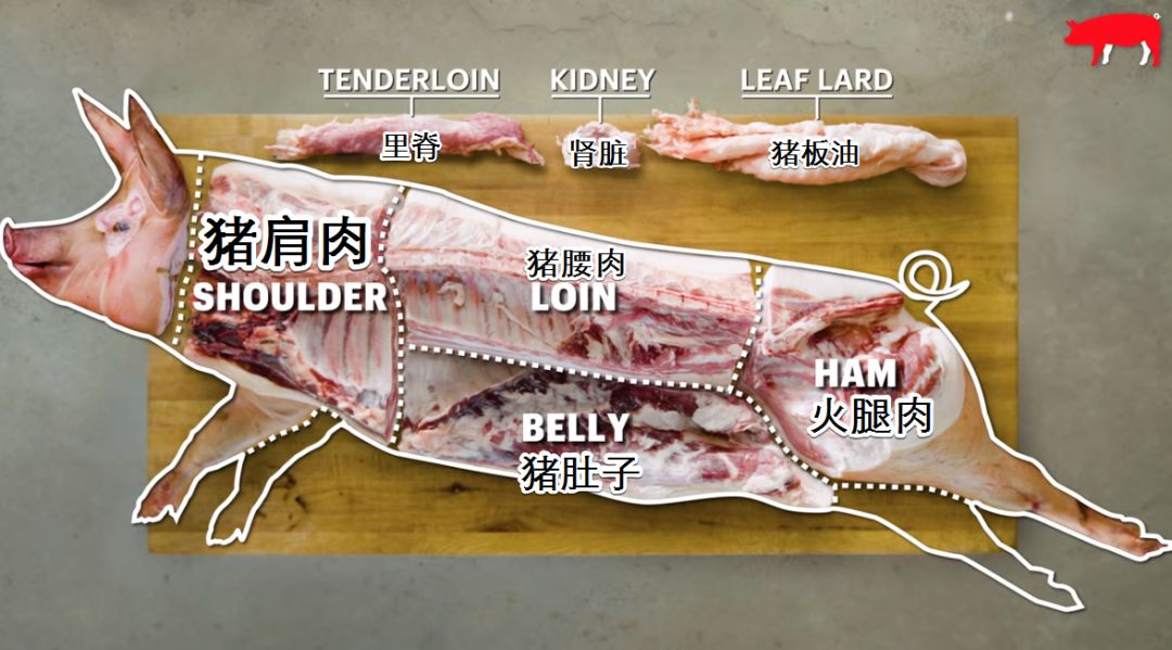 國外一坨坨騷到爆棚的豬肉 到底要怎麼買 附各部位豬肉英文對照 去騷方法 新西蘭微財經 微文庫