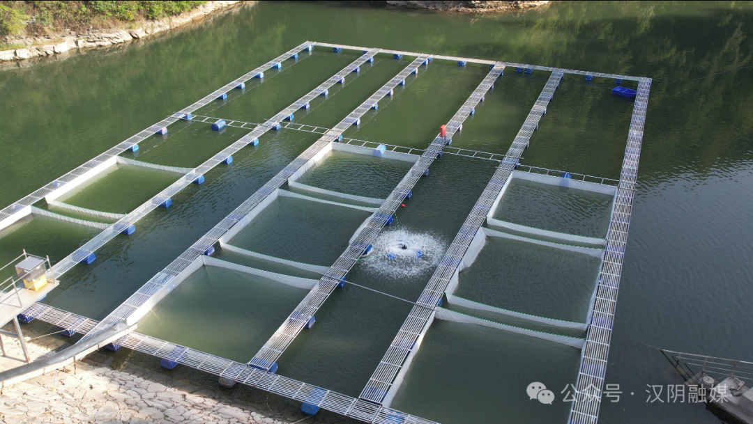 马拉名人厦门新高晓签结预报 抽果揭松赛数创