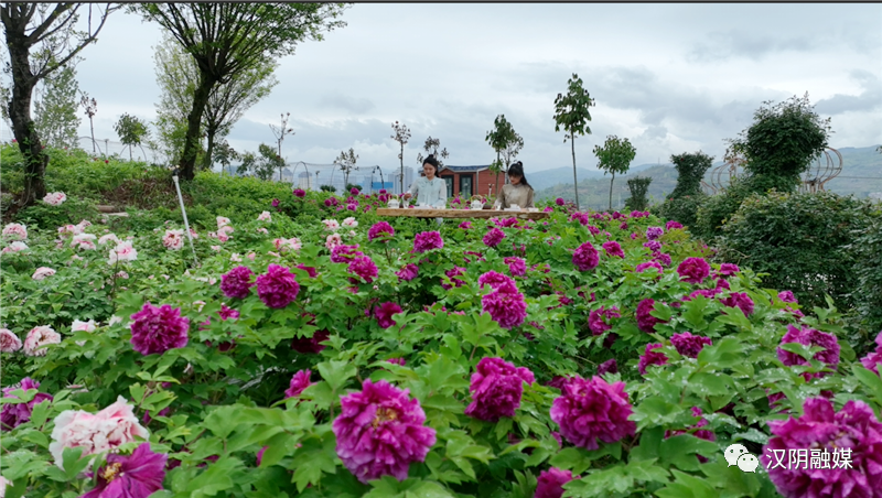 保驿土医龙岩立红在定站点药店设
