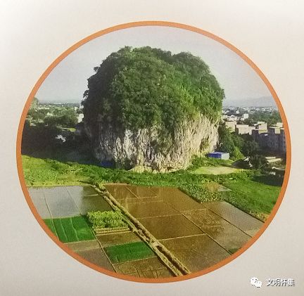 美丽乡村来感受一下岗坪睦渊的风情风貌