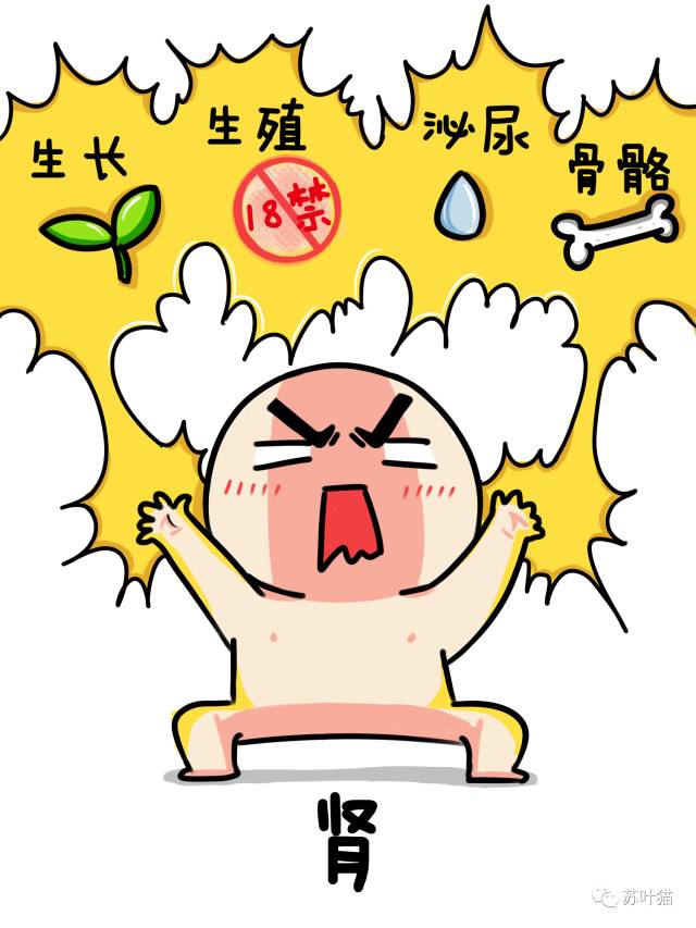 六味地黄丸不是好的补肾药（附，更靠谱的补肾方）