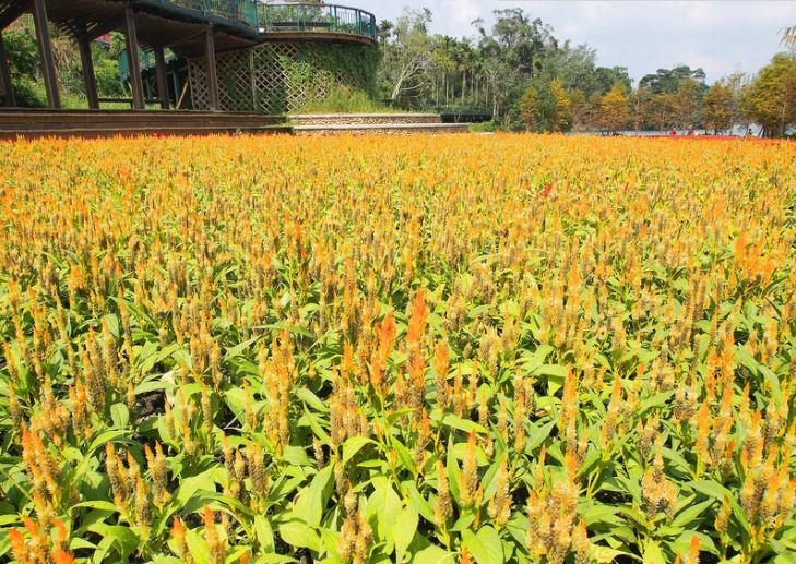 旅游 | 台湾【南投 】日月潭必游景点向山游客中心 十大美丽自行车道