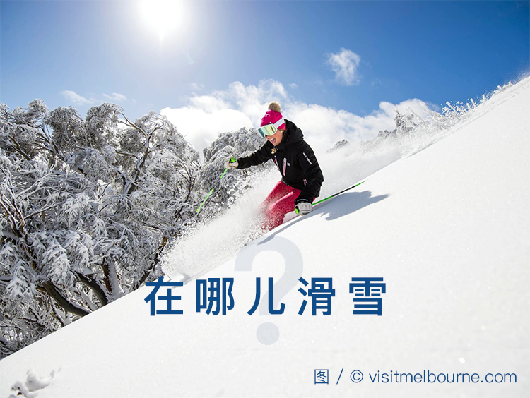 滑雪、慢跑、冲浪…无需办卡，维州人的“天然健身房”（图） - 5