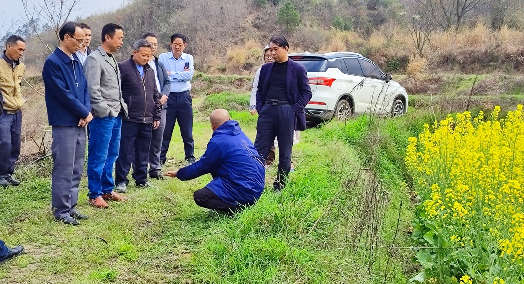 大坪乡:"零距离"培育农村实用人才,"土专家"为乡村振兴蓄势赋能