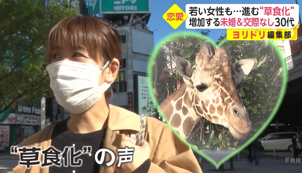 日本女性开始 草食化 享受单身贵族的同时又在消极地等待男性主动追求 小春日本 微信公众号文章阅读 Wemp