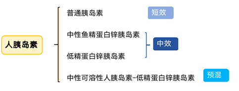 胰岛素检测试剂盒