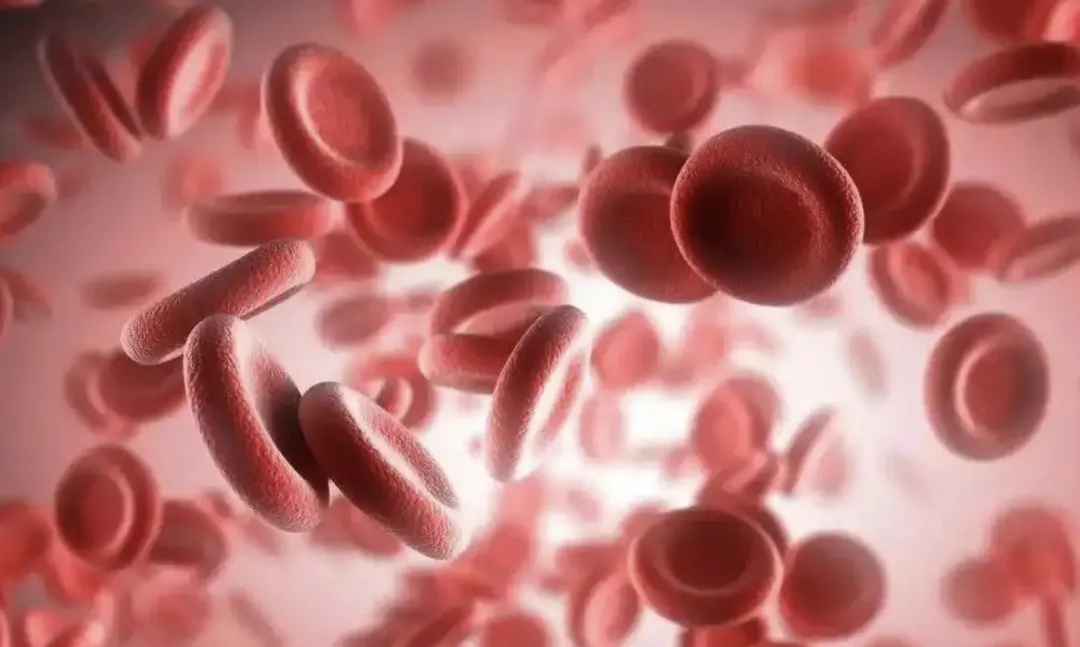 血液分析检查什么1分钟搞懂,血细胞分析5类,究竟是查什么?_新闻资讯_第3张_活检穿刺产品网 血液分析检查什么1分钟搞懂,血细胞分析5类,究竟是查什么?_https://www.jmylbn.com_新闻资讯_第3张