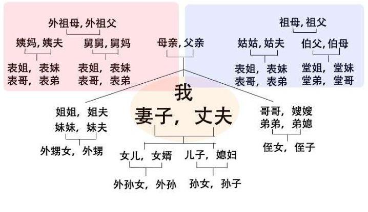 亲姐姐总暗示我给外甥买东西，亲戚关系知识大全