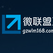广州微联盟互动科技有限公司