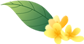 低溫化學(xué)火_低溫化學(xué)熱處理_低溫?zé)崽幚淼母拍?/></p>
<p>研究背景導(dǎo)讀</p>
<p>全氟和多氟烷基物質(zhì)(PFAS),是一類具有獨(dú)特表面活性劑性質(zhì)的合成有機(jī)化合物。表現(xiàn)出超穩(wěn)定物理和化學(xué)特性,具有很強(qiáng)抗污、抗油和抗水能力,被廣泛用于工業(yè)和消費(fèi)品中,例如防水涂層、化妝品和消防水成膜泡沫等。在空氣、飲用水和土壤中均有發(fā)現(xiàn)PFAS的存在,接觸PFAS會對人體造成永久性傷害和導(dǎo)致嚴(yán)重疾病,如甲狀腺疾病、腎癌、生殖和免疫系統(tǒng)損傷等,這引發(fā)人們對PFAS污染廣泛關(guān)注。水熱處理利用亞臨界或超臨界水的獨(dú)特特性,可以高效降解PFAS,有望實(shí)際應(yīng)用于修復(fù)各種PFAS污染介質(zhì)。</p>
<p><img src=