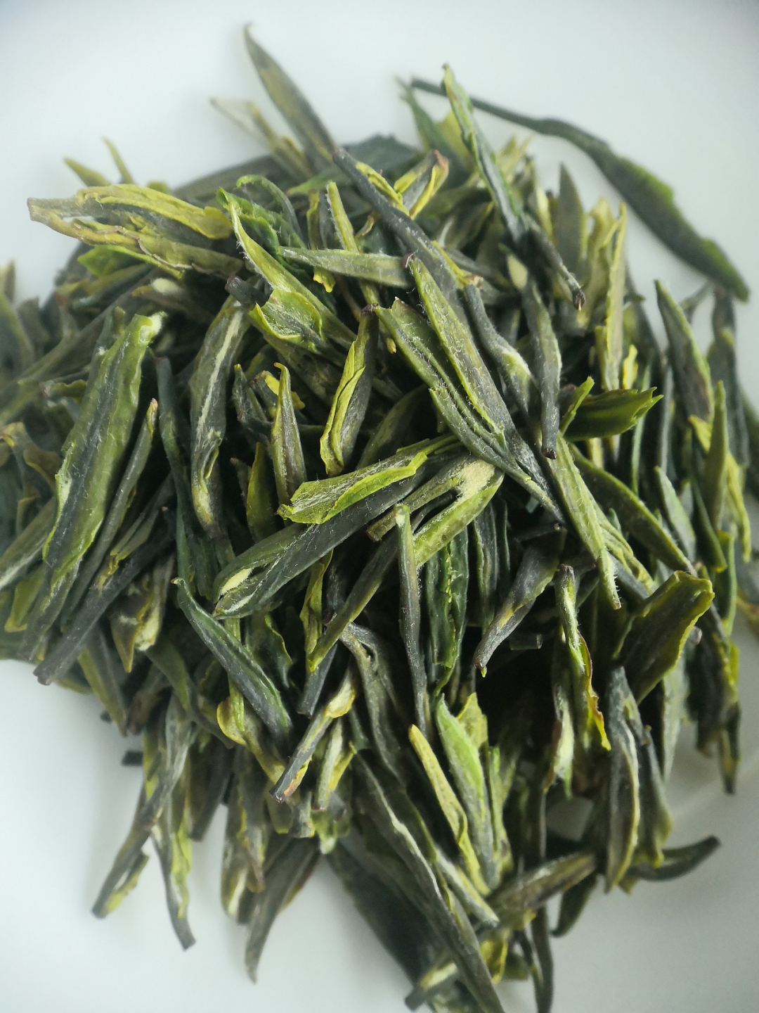 各产茶大省都有哪些名优绿茶