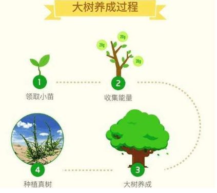 蚂蚁森林能量产生规则_蚂蚁森林能量产生规则_蚂蚁森林地铁出行能量