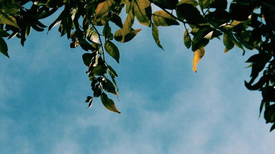 每一个你讨厌的人，都是你不愿看到的自己