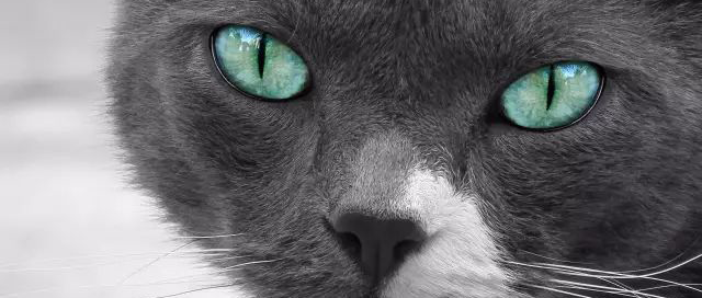 方正小标宋简体是什么字体 看到PPT龙飞凤舞的字体，想要？