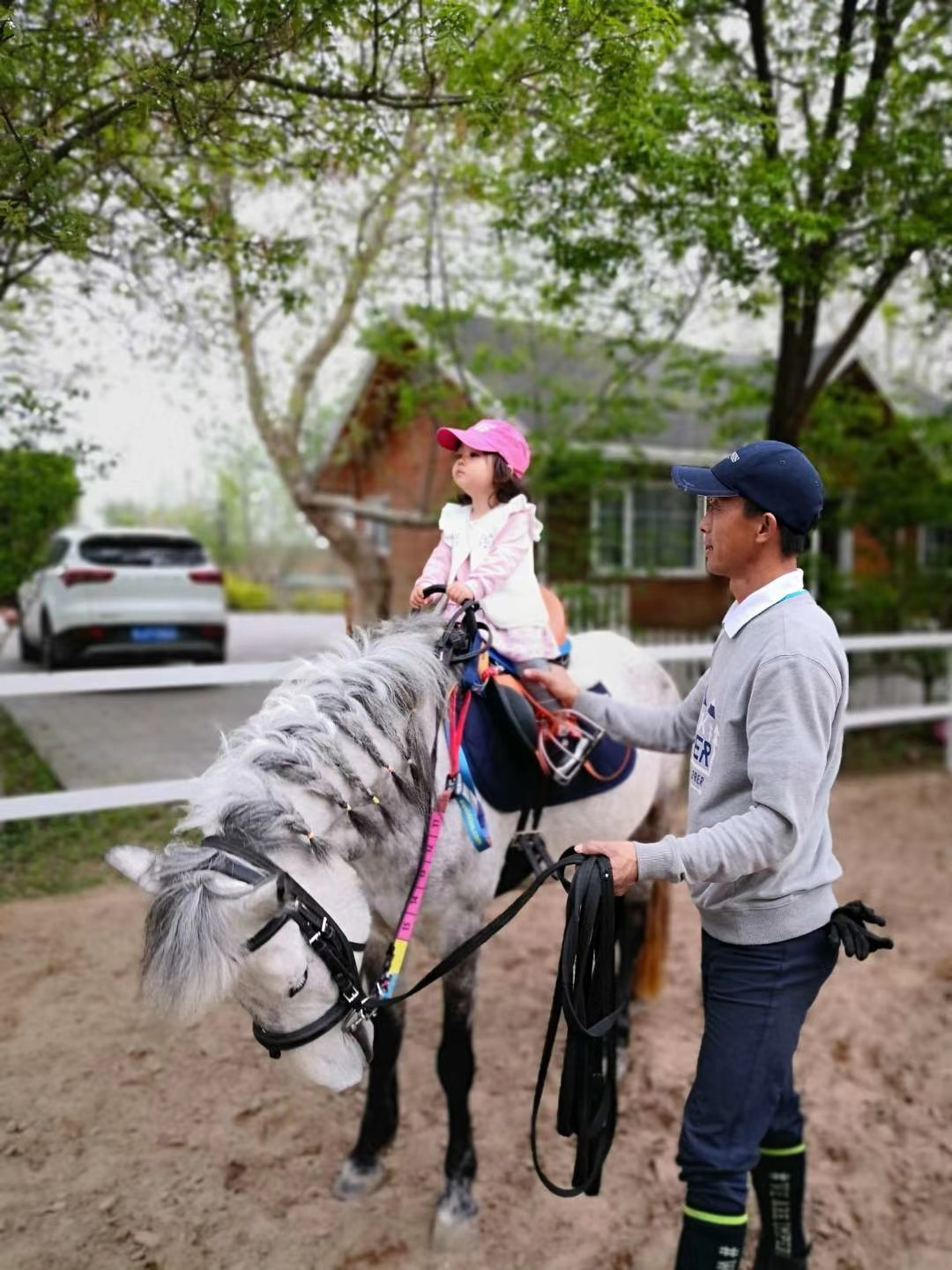 識馬餵馬騎馬最適合孩子的馬術活動培養愛與勇氣需預約