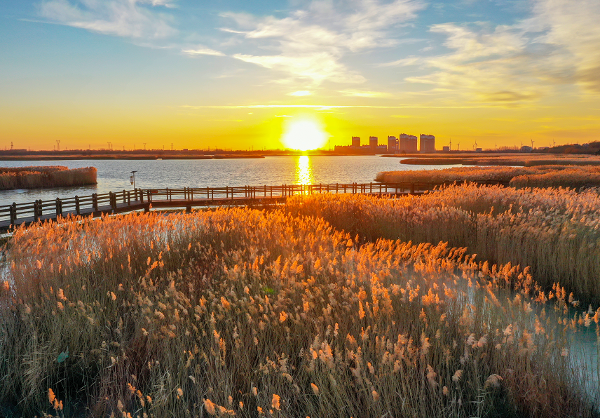 河畅水清萦绿岸生态美景迎春还镇赉县全面落实河长制推进绿水长廊建设